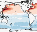 strong heating from ocean effects off the east coasts of America and Asia.