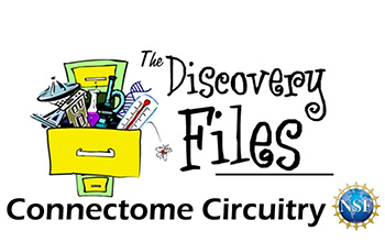 overstuffed filing cabinet with text The Discovery Files