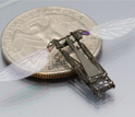 insect-sized robot shown with a quarter for comparison