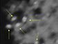 the arrows point to titanium dioxide nanocrystals