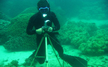 Diver under water with camera