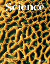 Cover of May 29, 2009, Science magazine.