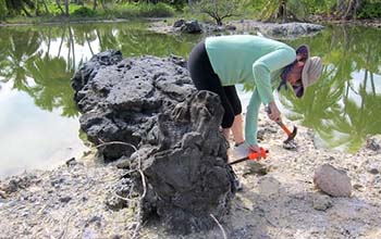 Kim Cobb samples an ancient coral