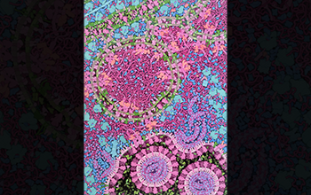 Illustration showing cross section through a cell infected with a coronavirus such as SARS-CoV-2 as it's actively replicating, and new viruses are being created