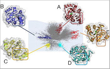 ligands