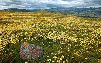 Coyote Ridge near San Jose, California