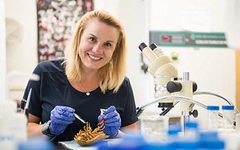 Heather Bracken-Grissom working in a lab
