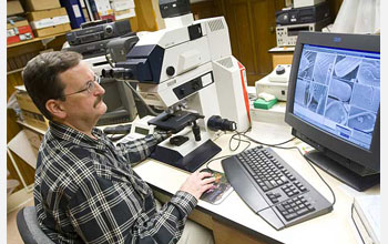 Photo of Peter Siver using a light microscope and a computer to study diatoms