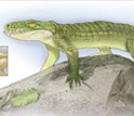 Illustration of the ancient crocodile Pakasuchus kapilimai with a housecat for scale.