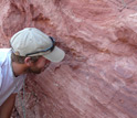 Photo of Patrick O'Connor examining exposed Pakasuchus bone fragments.