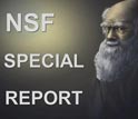 Text and illustration: NSF Special Report with illustration of Charles Darwin.