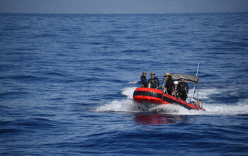 Marine scientists return from a dive to study comb jellies.