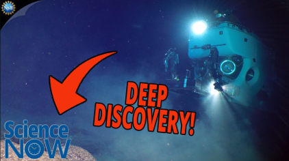 Submersible Makes Discovery on Ocean Floor