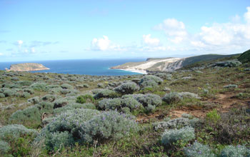 Photo of a Channel Islands landscape.