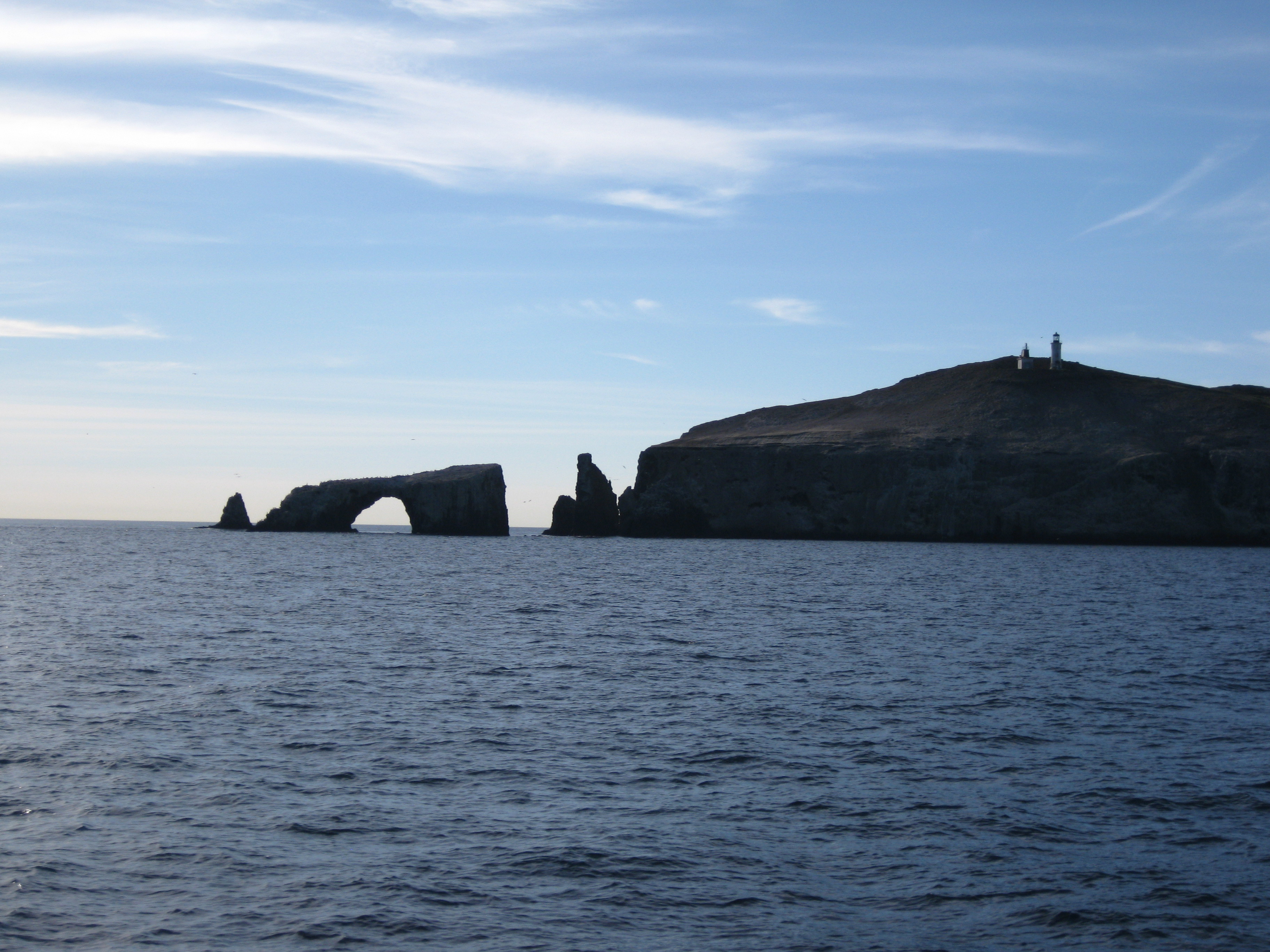 Study of Deer Mice on California's Channel Islands Provides New ...