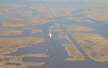 salt marshes about 30 miles (50 km) southeast of New Orleans