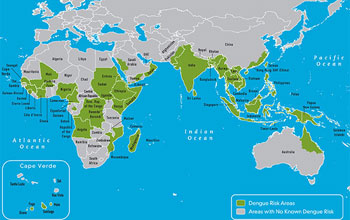 Map showing where dengue has occurred in the Eastern Hemisphere.