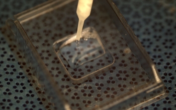 pipette over Petri dish