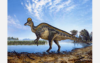 dinosaur with red crest on head