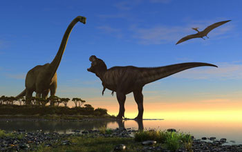 Illustration showing three types of dinosaurs