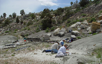 Photo of scientists unearthing dinosaur fossils at Como Bluff Quarry, Wyoming.