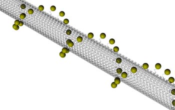 Illustration depicting a single nanotube formed from DNA tile arrays with gold particles attached.