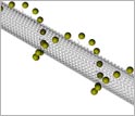 Illustration depicting a single nanotube formed from DNA tile arrays with gold particles attached.