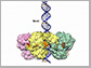 viral DNA-packaging motor