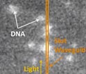 DNA molecules suspended in a stream of water flowing through a nanoscale channel.