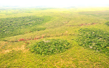 Photo of dry forest islands in a sea of Brazilian savanna.