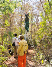 Photo of monitoring tower being installed by scientists at the Minas Gerais Institute of Forests.