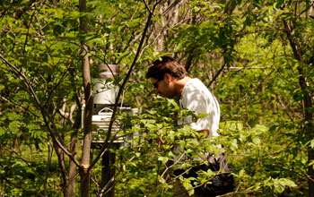 Photo of a scientist checking an understory micro-meteorological station in Mata Seca, Brazil.