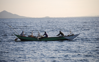 Fishers returning at dawn. Using lamps, they fish for dagaa, a kind of sardine, at night.