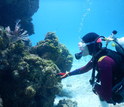 Alexandra Davis diving