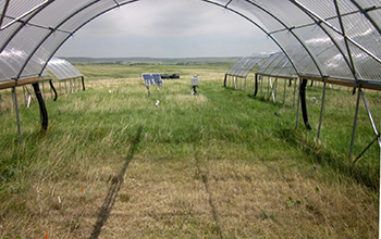 drought shelter