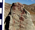 Photo of a former crayfish burrow in the Willwood Formation, Wyoming.