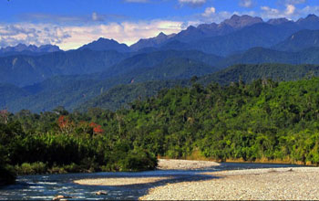 photo of forest and mountains in the Andes region