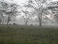 Lake Nakuru, Kenya