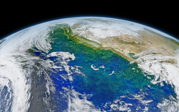 Phytoplankton bloom in the Pacific Ocean.