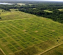 Individual plots in this aerial view of the experiment are 9 meters by 9 meters.