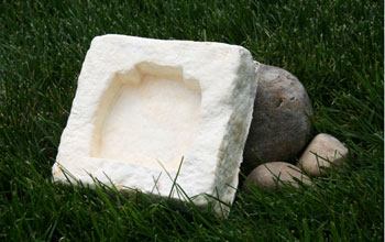 Photo of biodegradable packaging material, made from mushroom and agricultural waste.
