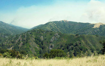 Photo of forest covered hills in western U.S. wildfire with smoke from wildfires in distance.