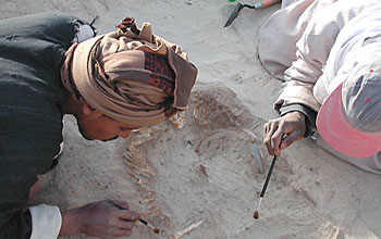 Photos of workers excavating and ancient Egyptian skeleton.