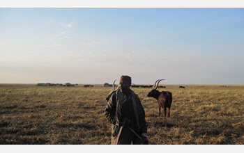 Photo of a herder standing in front of his family's encampment and cattle.