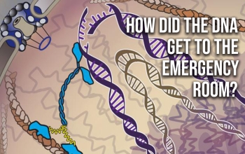 title slide with text how did the dna get to the emergency room