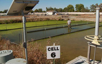 a wetland testbed where ERC research will see how natural and engineered systems interact.