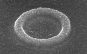 Scanning electron micrograph of a nickel ring on a piezoelectric substrate.