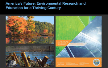 collage of images showing a forest, water and solar panels