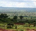 Photo of agricultural land and savannah in Zambia with hills on horizon.