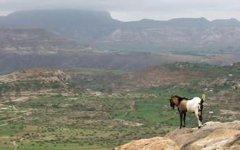 Photo of highlands of Ethiopia